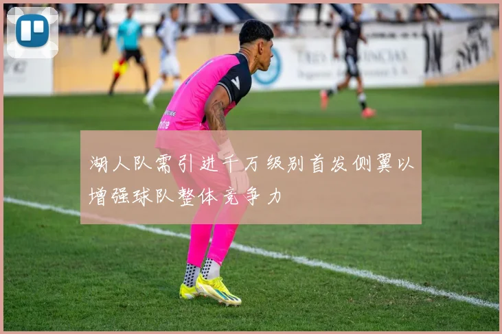 湖人队需引进千万级别首发侧翼以增强球队整体竞争力
